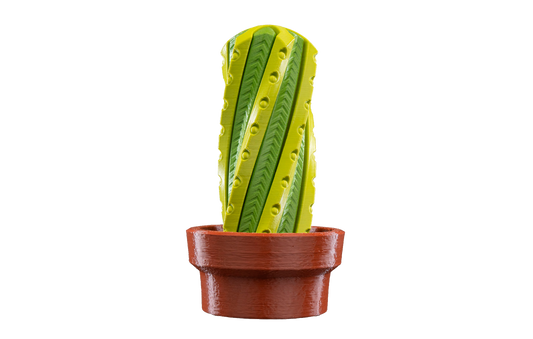 Fidget Toy - Cacto Giratório