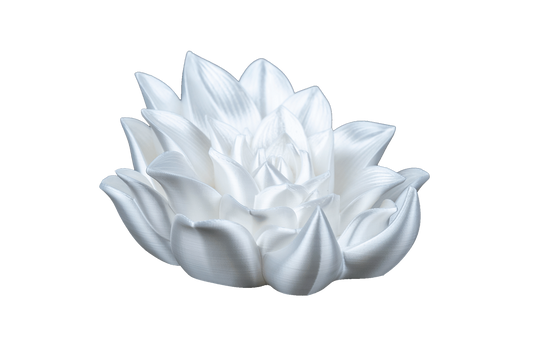 Apoio de Livros - Rosa da Elegância