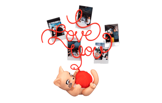 Porta Retratos - Amor Felino