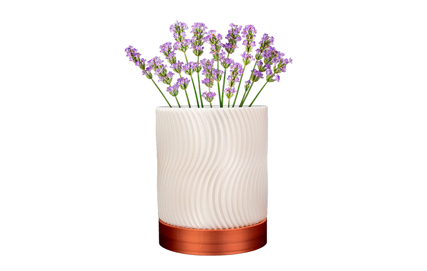 Vasos de Parede GeoGarden