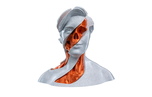 Fidget Toy - Turbilhão Anatômico