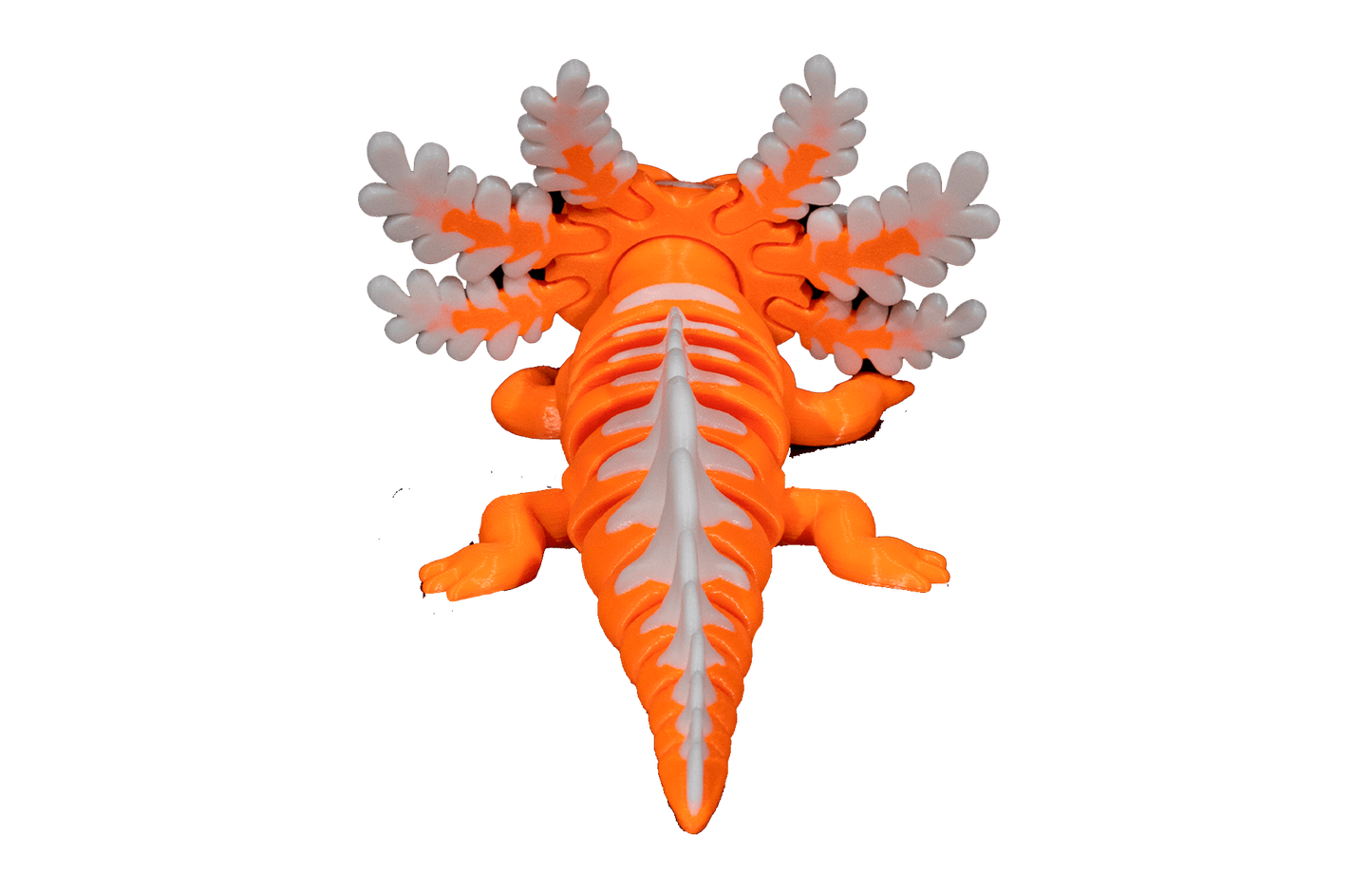 Axolote Articulado - Sandra
