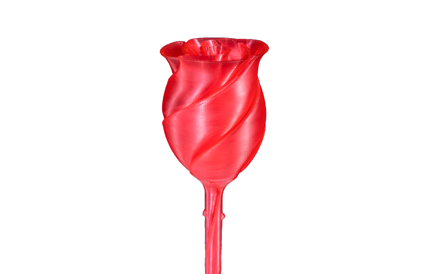 Fidget Toy - Rosa Desabrochando