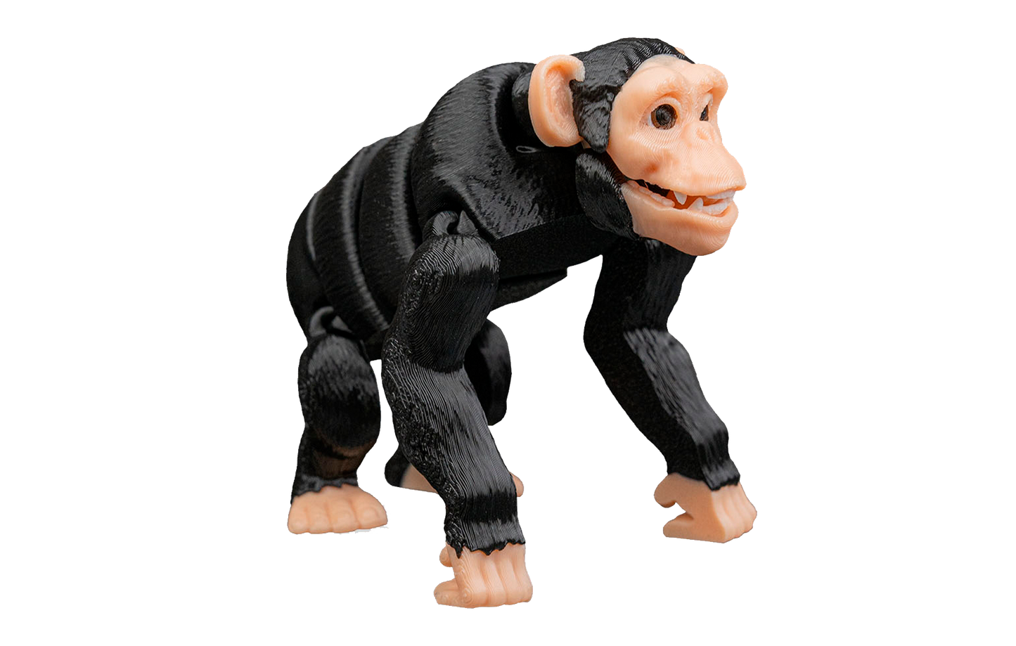 Chimpanzé Articulado