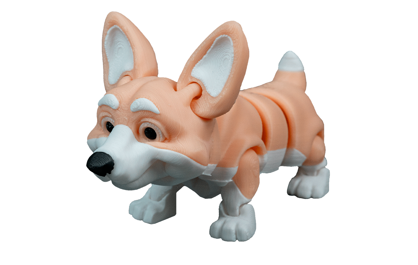 Cachorro Corgi Articulado