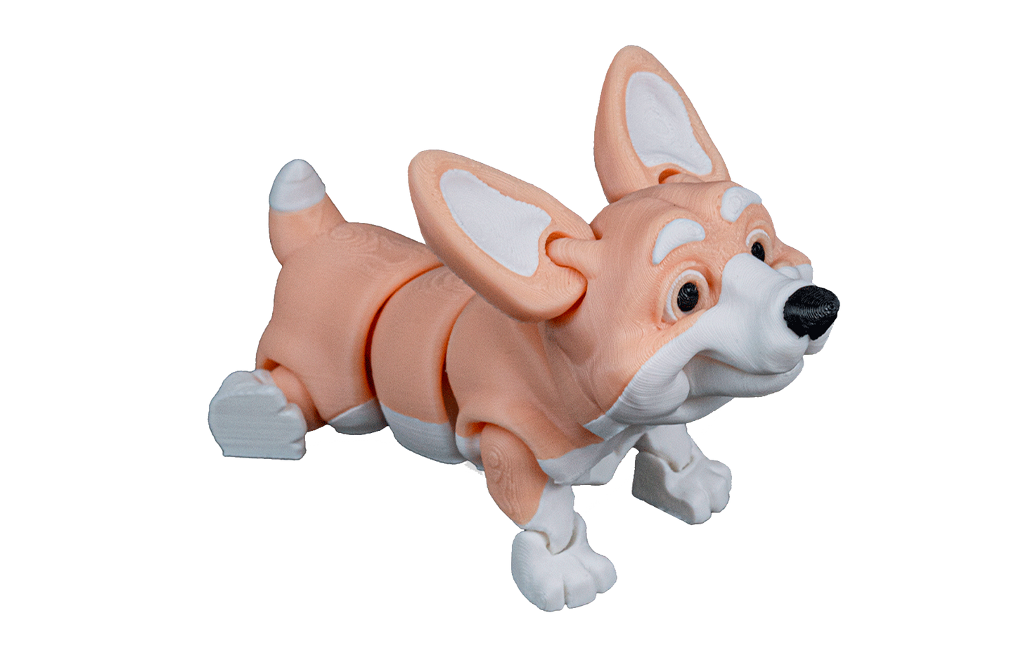 Cachorro Corgi Articulado