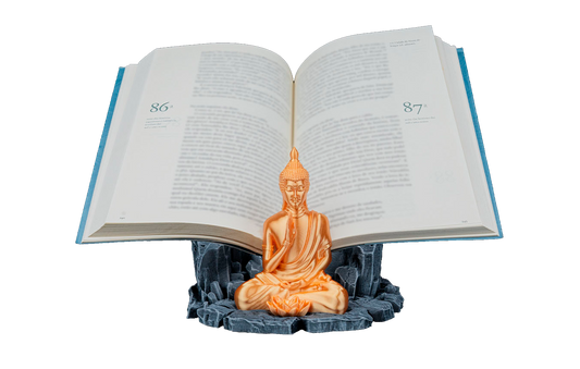 Apoio de Livros - Entidade do Conhecimento