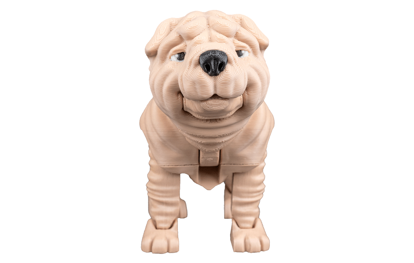 Shar Pei Articulado