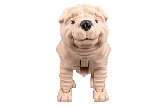 Shar Pei Articulado