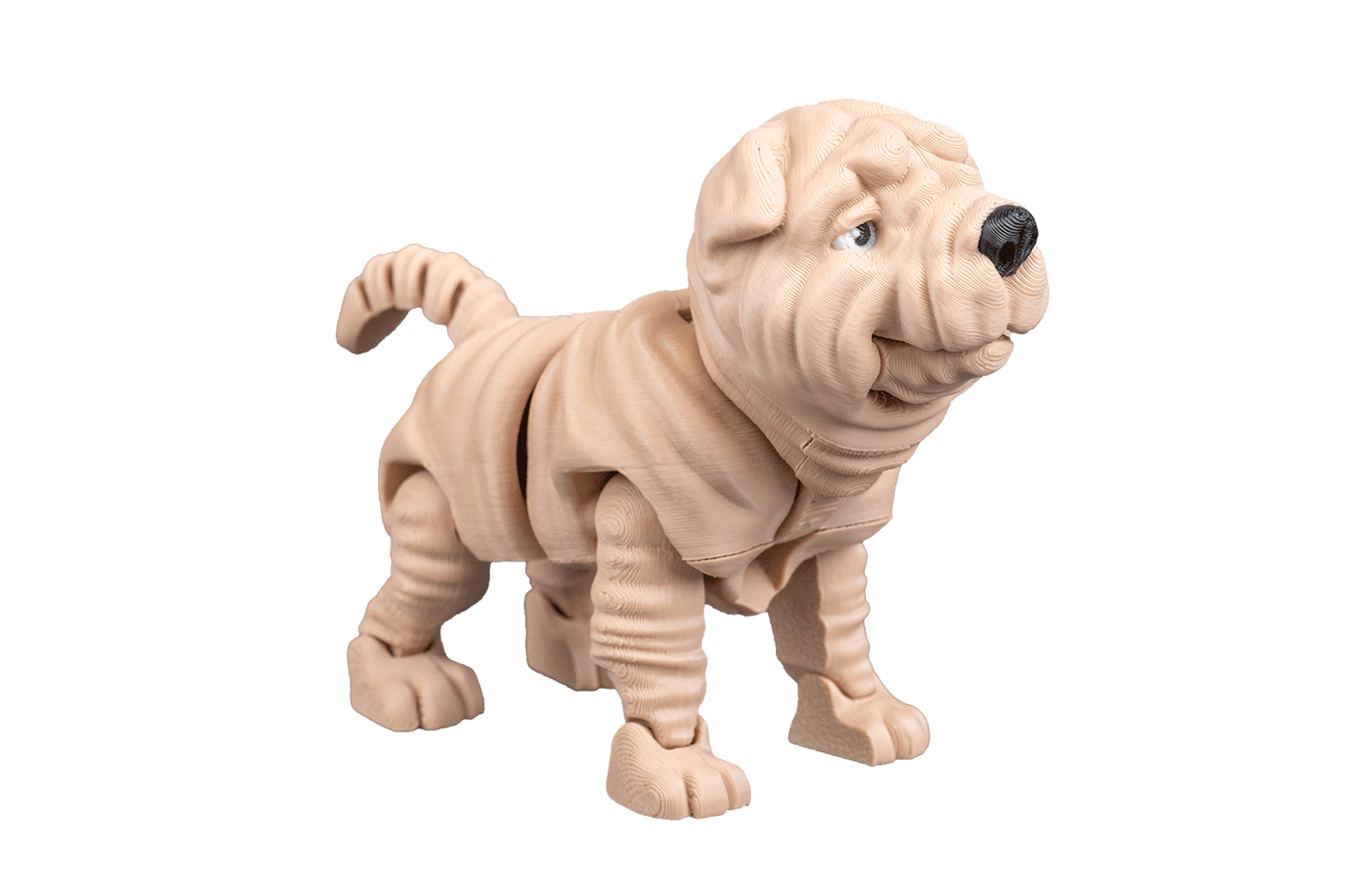 Shar Pei Articulado