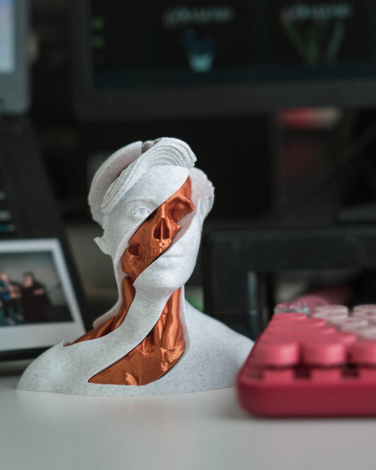 Fidget Toy - Turbilhão Anatômico