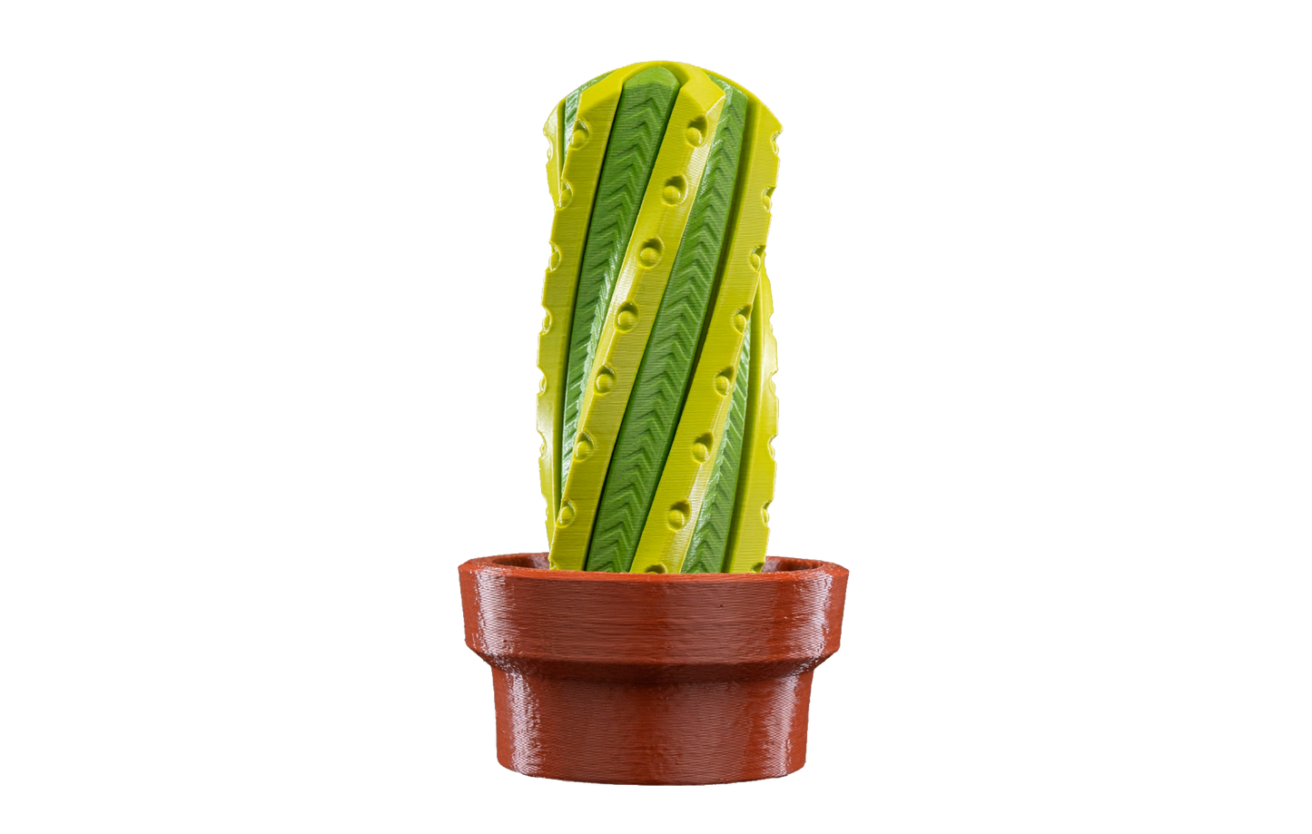 Fidget Toy - Cacto Giratório