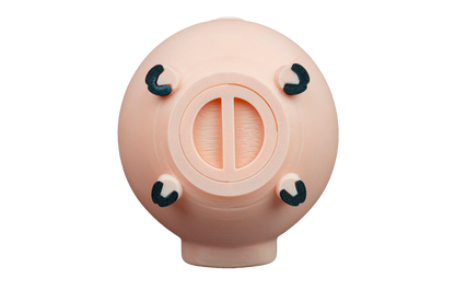 Cofrinho de Porquinho