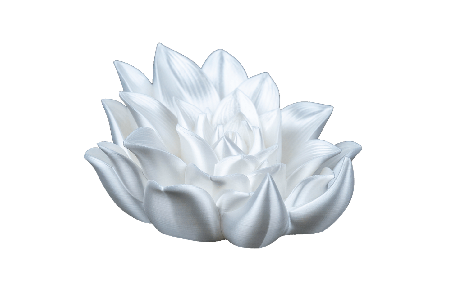 Apoio de Livros - Rosa da Elegância