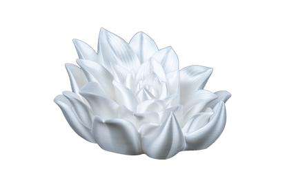 Apoio de Livros - Rosa da Elegância
