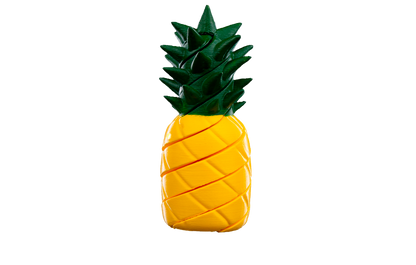 Fidget Toy - Espiral Tropical