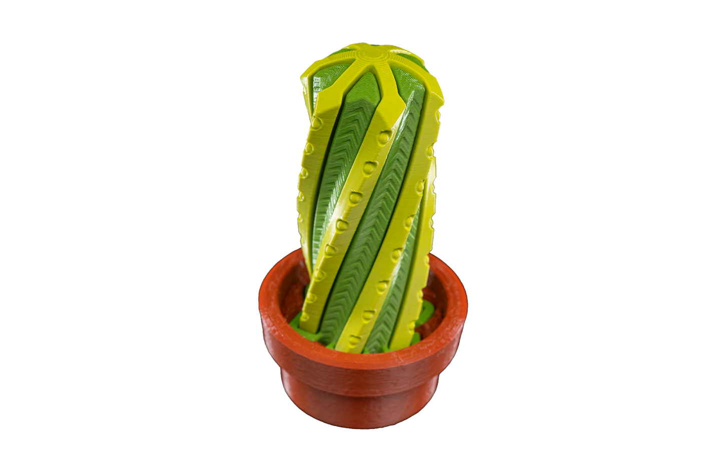 Fidget Toy - Cacto Giratório