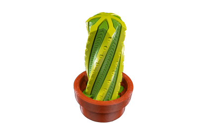 Fidget Toy - Cacto Giratório