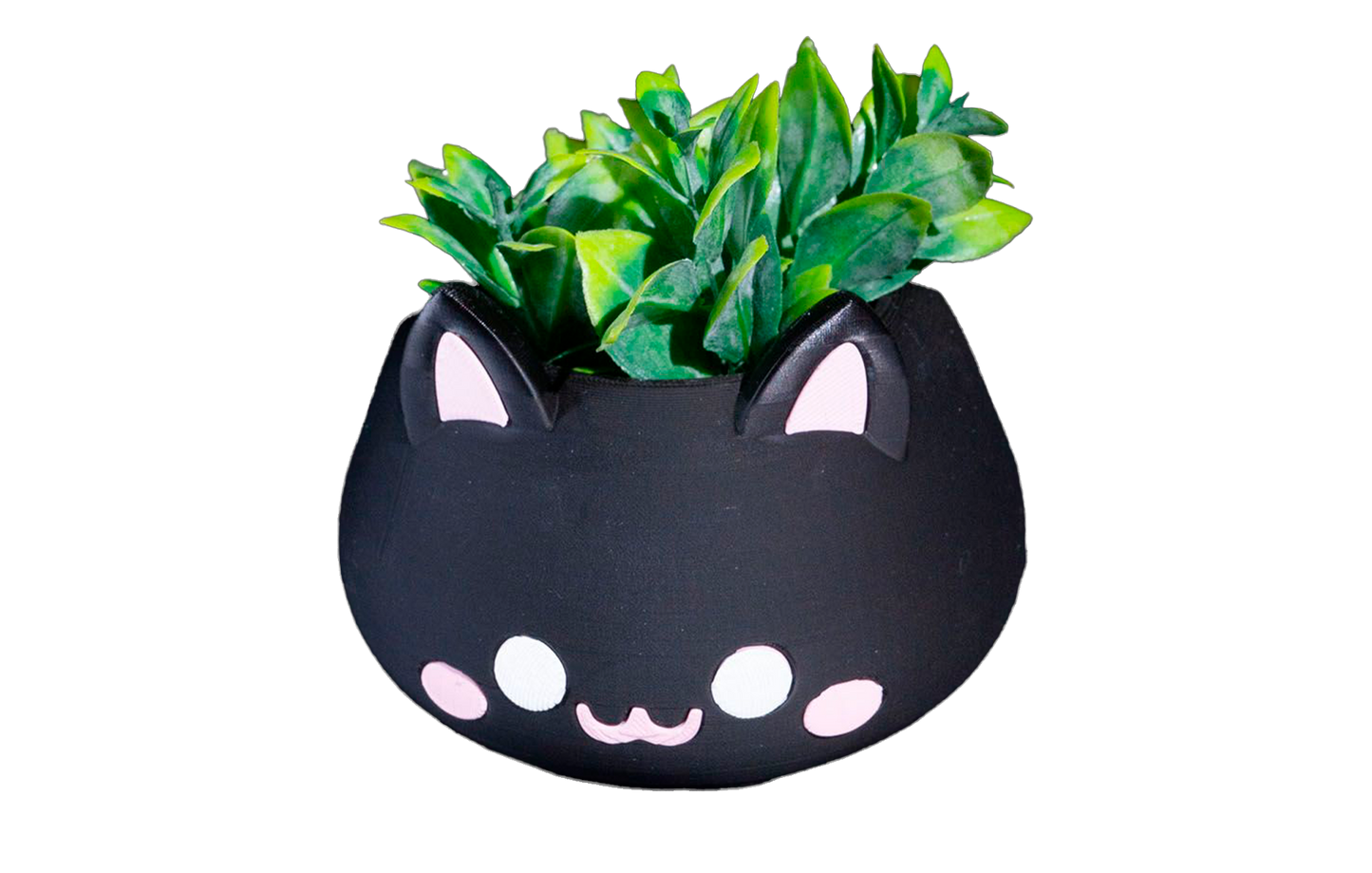 Vaso - MeowBowl