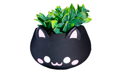 Vaso - MeowBowl