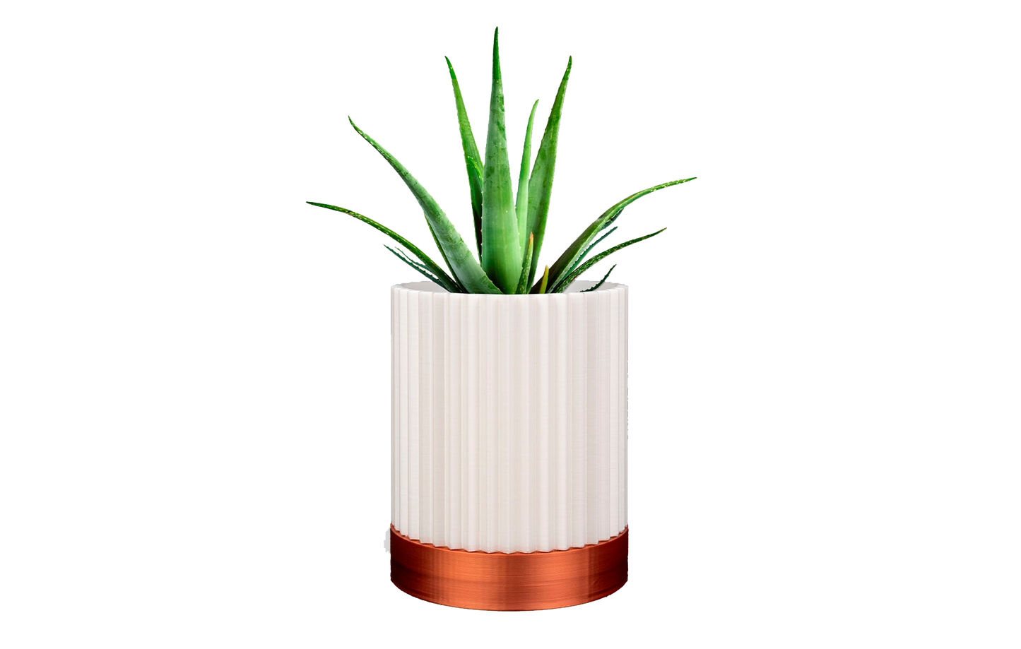 Vasos de Parede GeoGarden