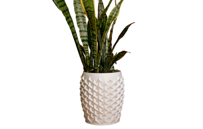 Vaso - Texturizado Moderno