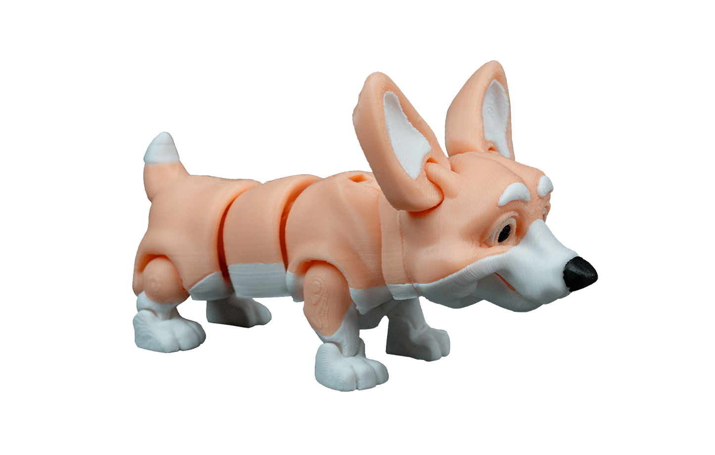 Cachorro Corgi Articulado