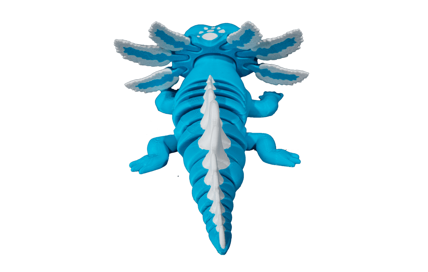Axolote Articulado - Tim