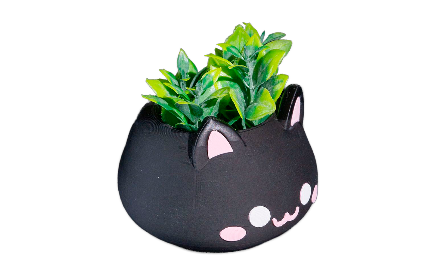 Vaso - MeowBowl