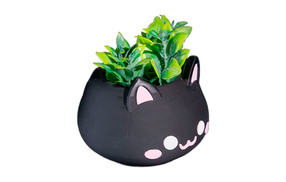 Vaso - MeowBowl