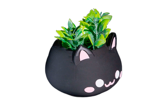 Vaso - MeowBowl