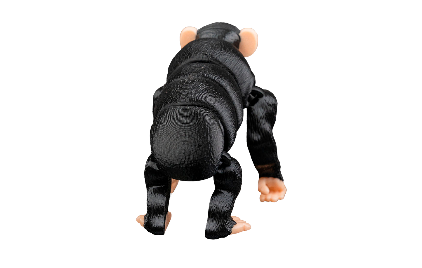 Chimpanzé Articulado