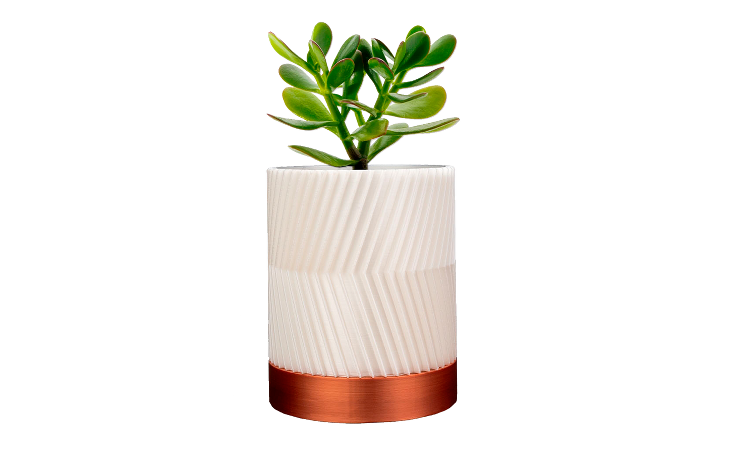 Vasos de Parede GeoGarden