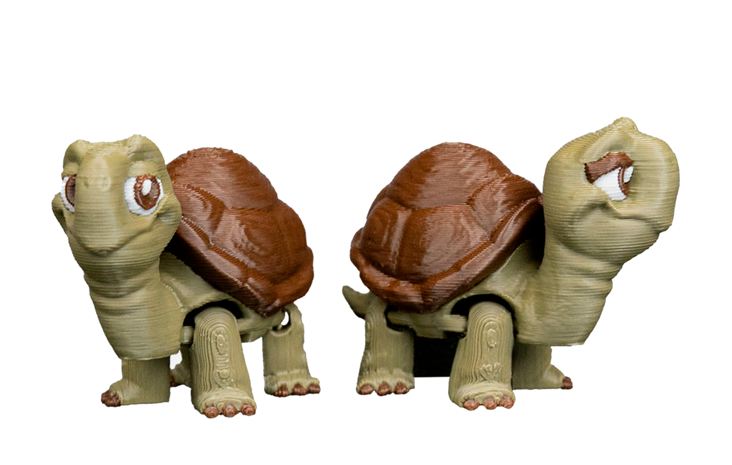 Casal de Tartarugas Articuladas