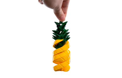 Fidget Toy - Espiral Tropical