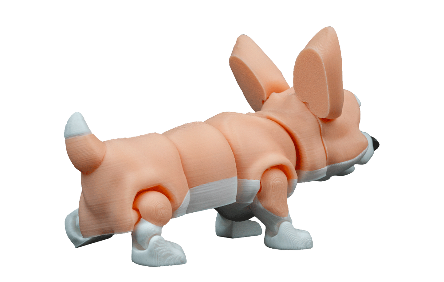 Cachorro Corgi Articulado