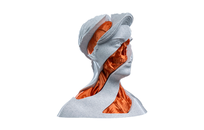 Fidget Toy - Turbilhão Anatômico