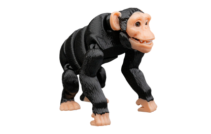 Chimpanzé Articulado