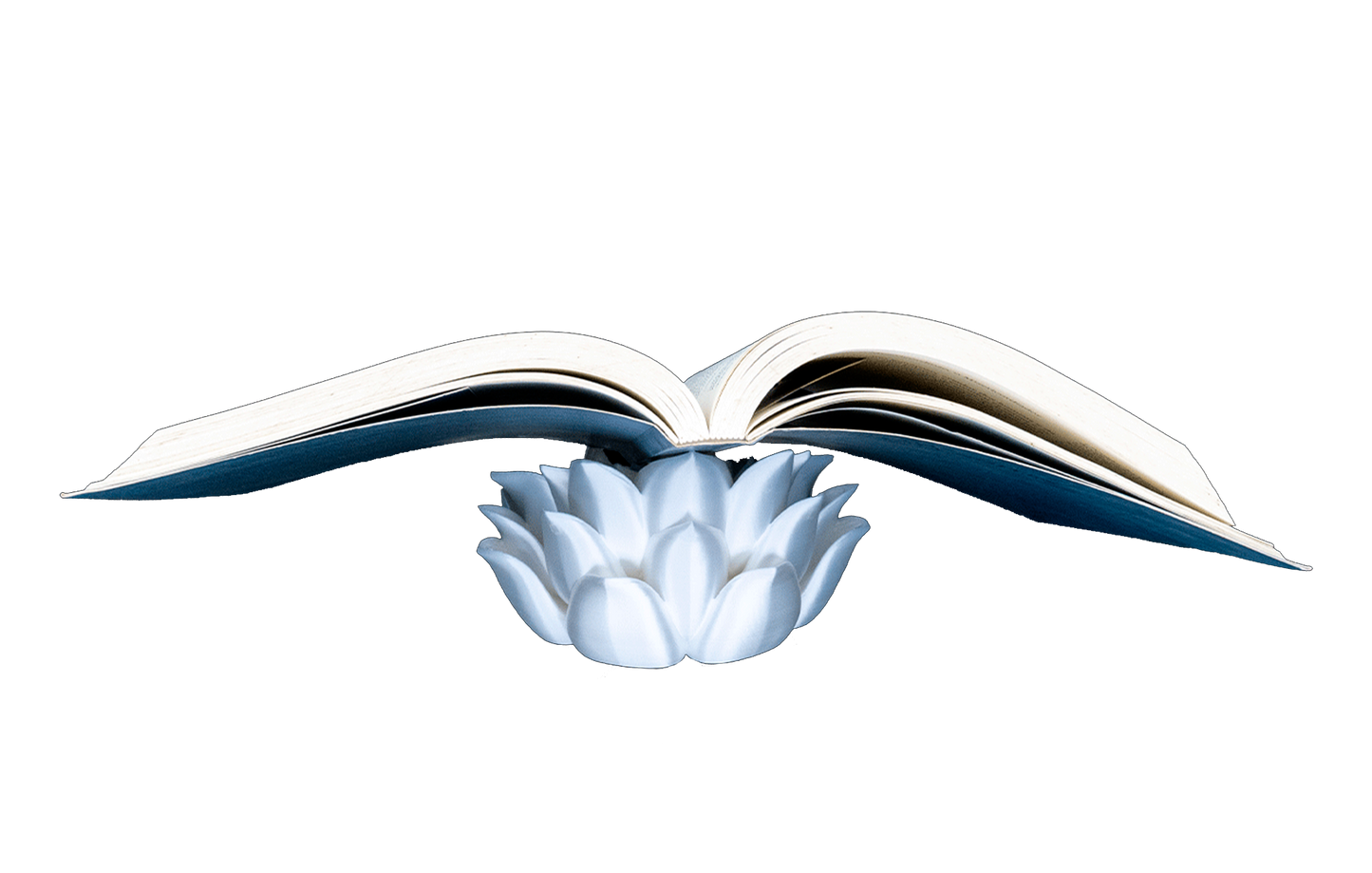 Apoio de Livros - Rosa da Elegância