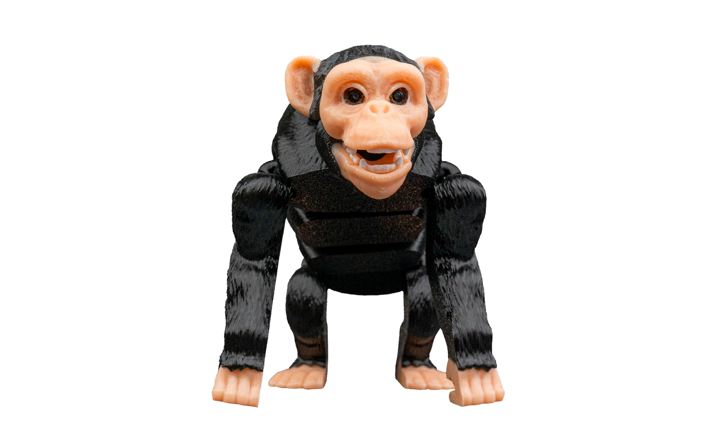 Chimpanzé Articulado