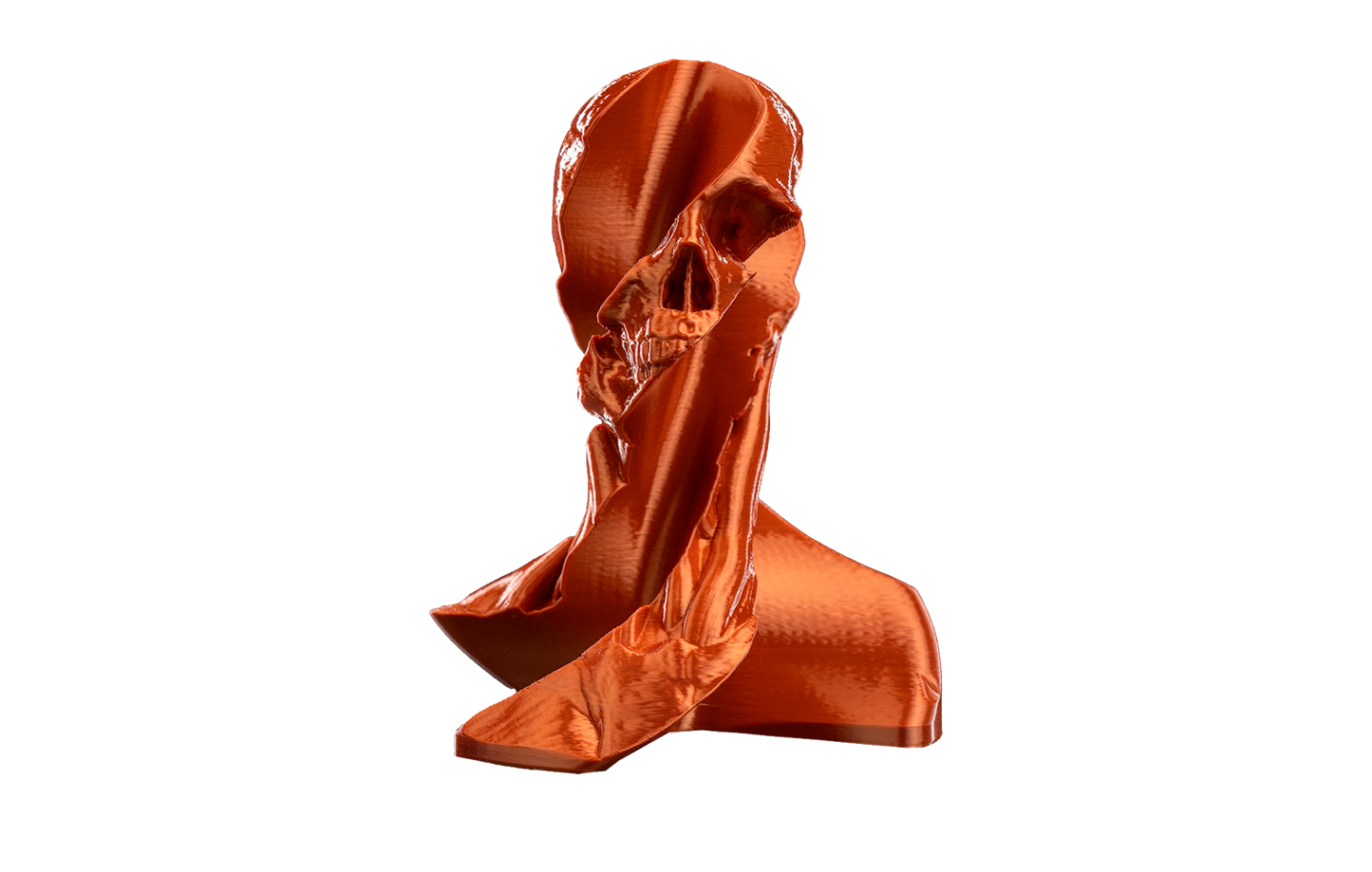 Fidget Toy - Turbilhão Anatômico
