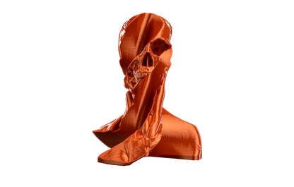 Fidget Toy - Turbilhão Anatômico