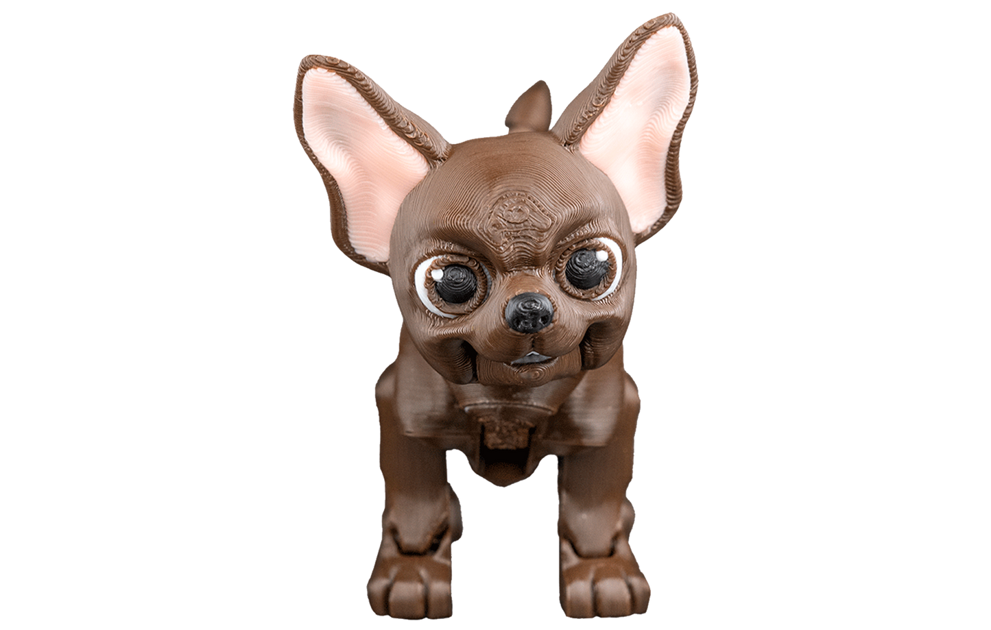Chihuahua com Perninhas Articuladas