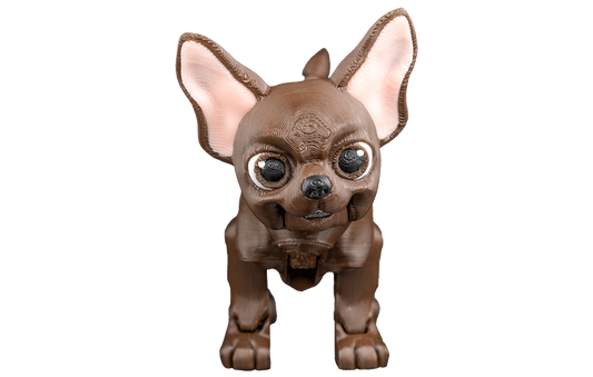 Chihuahua com Perninhas Articuladas