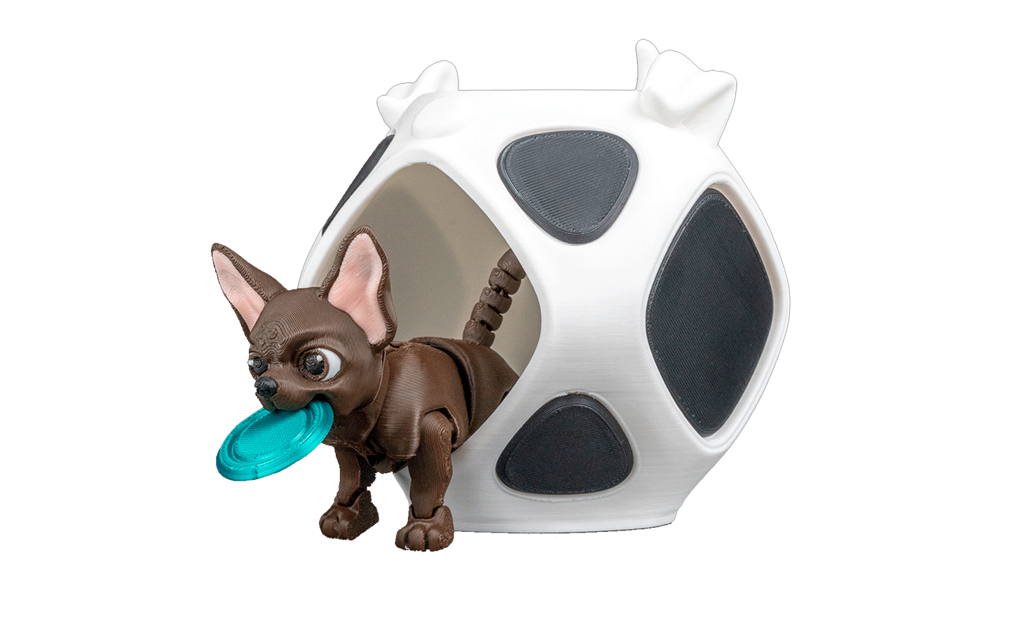 Chihuahua com Perninhas Articuladas