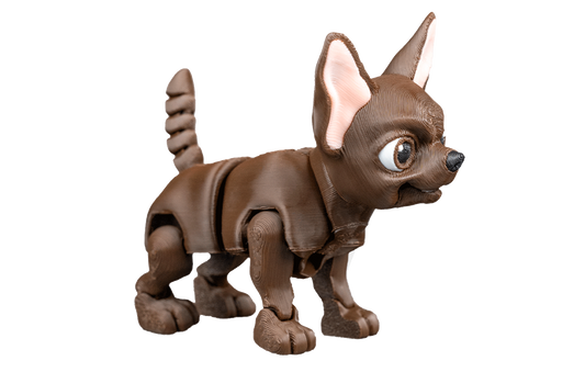 Chihuahua com Perninhas Articuladas