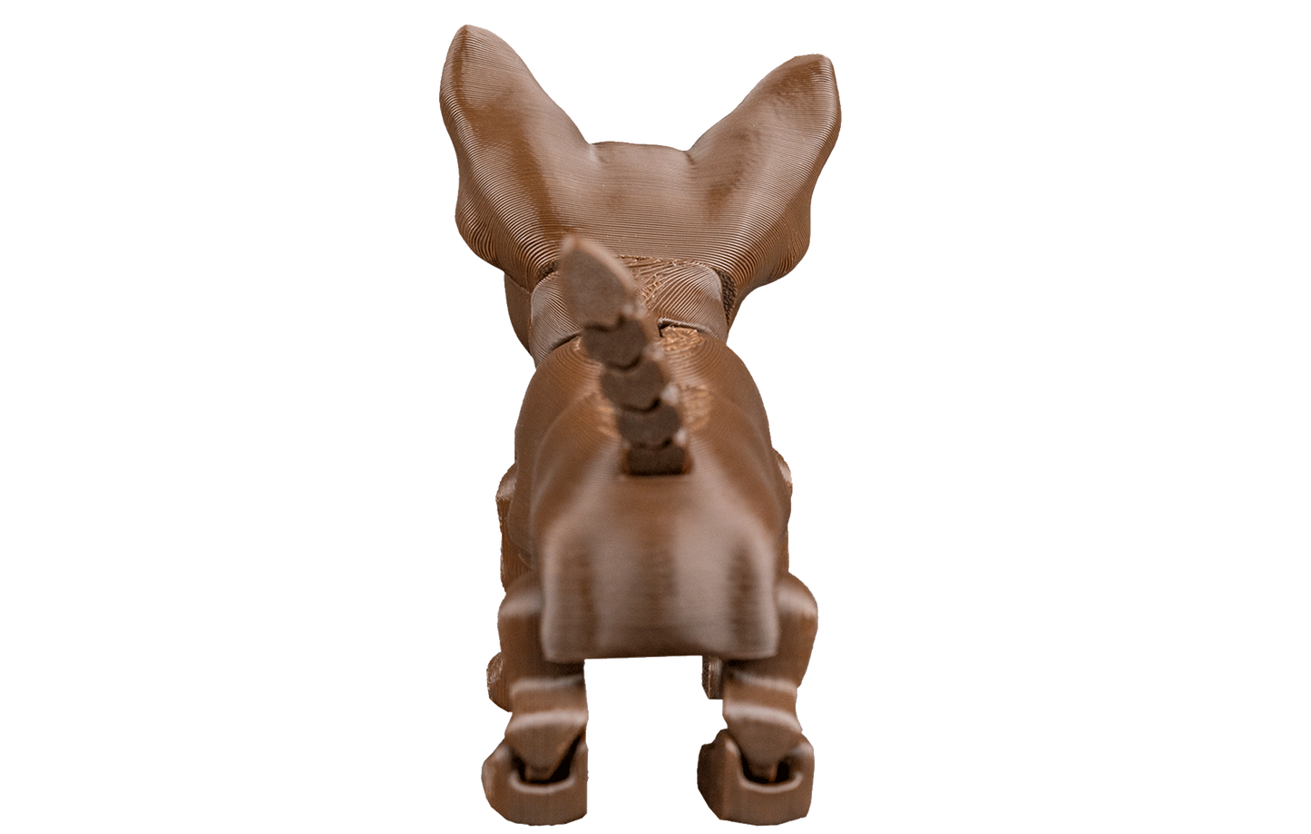 Chihuahua com Perninhas Articuladas