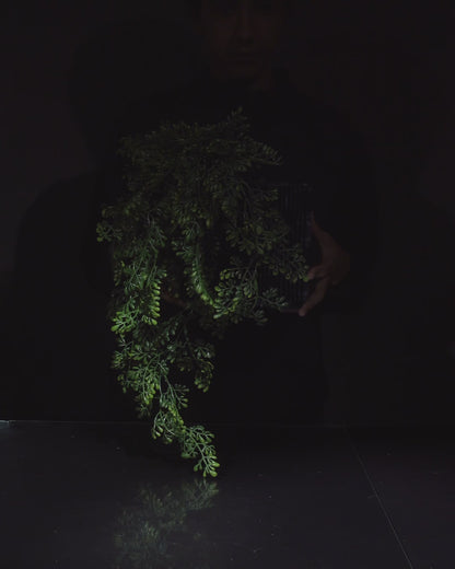 Vaso - PetalaFlow