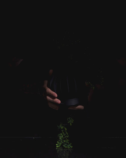 Vaso - FacetGrow
