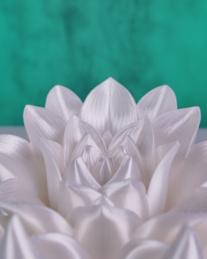 Apoio de Livros - Rosa da Elegância